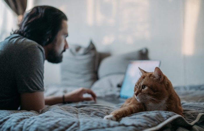 The 10 Best Job Search Websites Of 2022